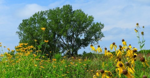 The Incredible Hike In Minnesota That Leads Through A Fascinating Abandoned Village