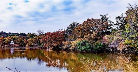 The Beautiful State Park Where You Can View The Best Fall Foliage In Oklahoma