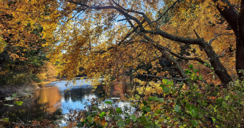 The Enchanting Goddard Memorial State Park In Rhode Island Is One Of The Best Places To Enjoy Autumn