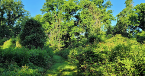 The Enchanting Wildlife Refuge In Louisiana Is One Of The Best Places To Enjoy Autumn