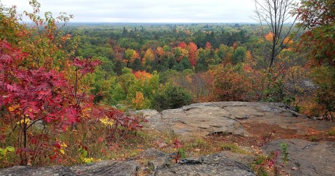 The 1.3-Mile Butler Rock Trail Leads Hikers To The Most Spectacular Fall Foliage In Wisconsin