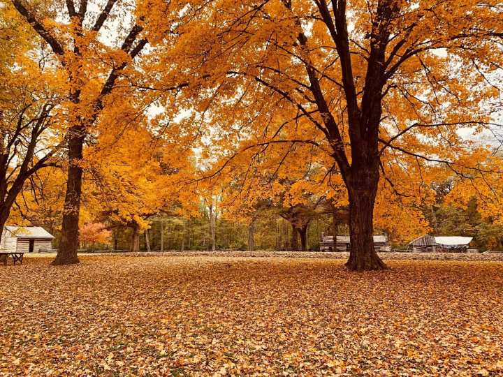 best fall harvest in illinois