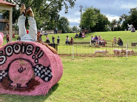 Get Lost In This Awesome 4-Acre Corn Maze In Georgia This Autumn