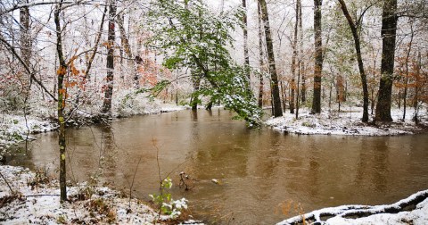 You Might Be Surprised To Hear The Predictions About Louisiana’s Damp and Cold Upcoming Winter