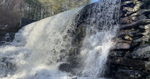 Explore This Secret Trail That Passes Through A Boy Scout Camp In Rhode Island