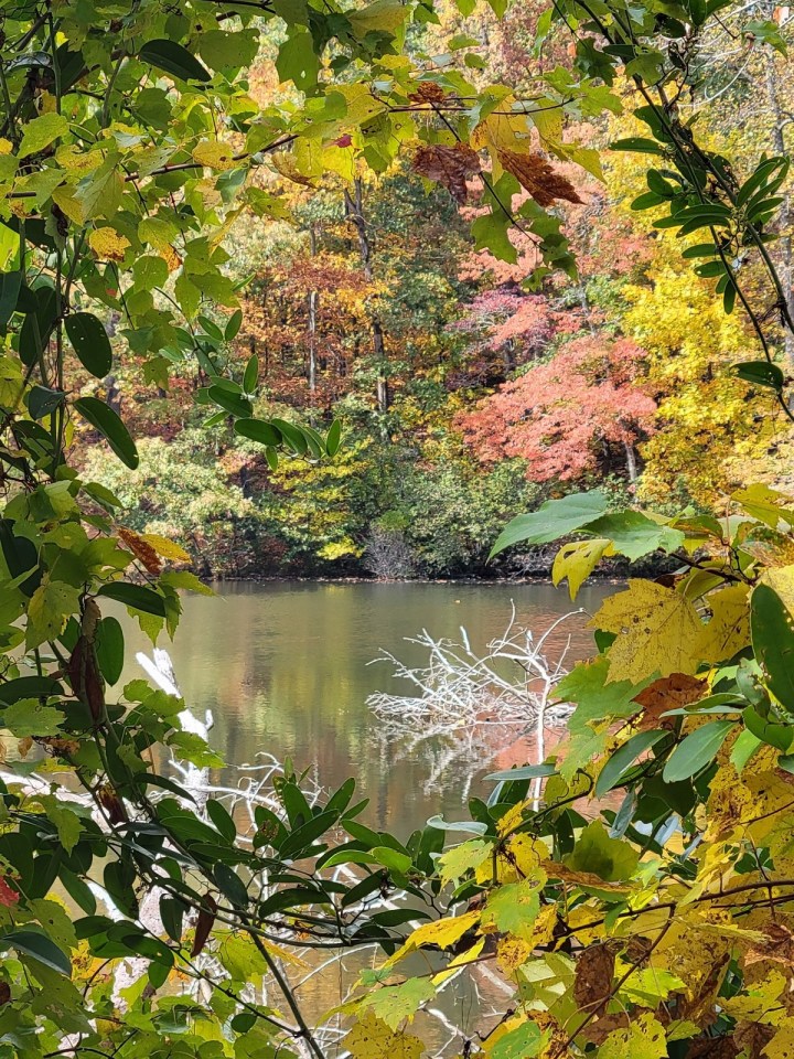 Fall Hiking Trail