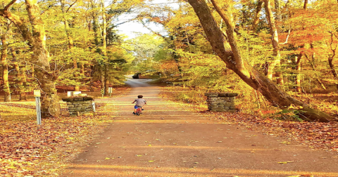 The 2-Mile Wall Doxey Trail Leads Hikers To The Most Spectacular Fall Foliage In Mississippi