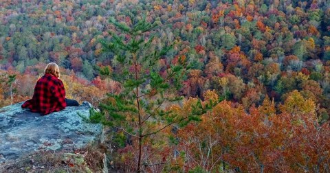 The Under-The-Radar Destination In Alabama With The Most Beautiful Fall Foliage In The State