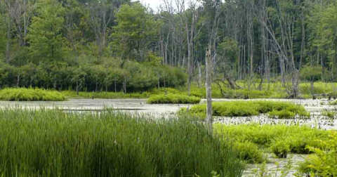 There's A Little-Known Nature Preserve Just Waiting For Cleveland Explorers