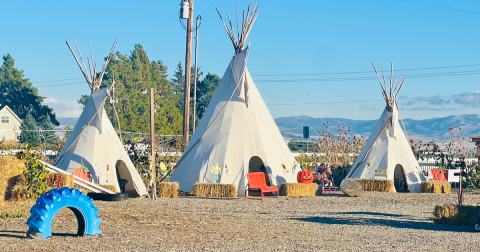 With Two Corn Mazes And Dozens Of Activities, New Sweden Farms Is The Ultimate Fall Day Trip In Idaho