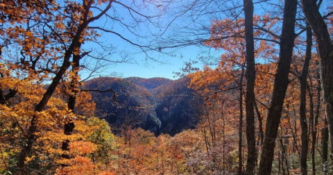 The Under-The-Radar Destination In South Carolina With The Most Beautiful Fall Foliage In The State