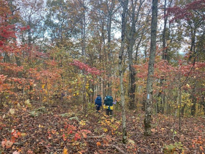 Hikers amid fall foliage on the Pinhoti Trail from Chief Ladiga Trail To CR 500, a challenging hike near Piedmont, Alabama.