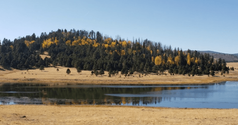 The Enchanting Village In Arizona Is One Of The Best Places To Enjoy Autumn