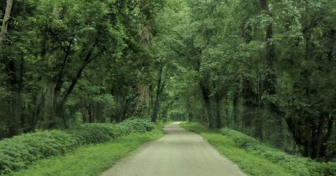 The Kankakee Fish And Wildlife Area Trail In Indiana Is A Magical Hidden Gem Worth Exploring