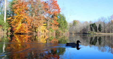 This Little-Known Scenic Spot In Ohio That Comes Alive With Color Come Fall
