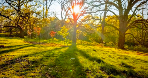 The Under-The-Radar Destination In Ohio With The Most Beautiful Fall Foliage In The State