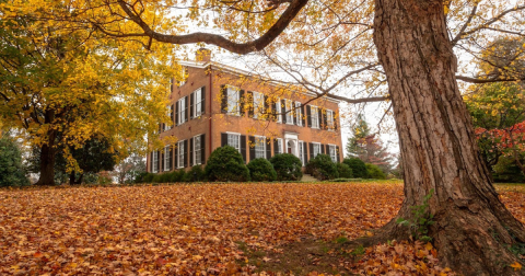 The Small State Park Where You Can View The Best Fall Foliage In Kentucky