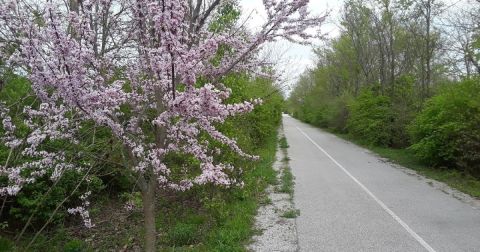 The Entire Family Will Love This Short And Simple Hike In Indiana