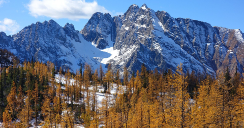 The 9.5-Mile Grasshopper Pass Trail Leads Hikers To The Most Spectacular Fall Foliage In Washington