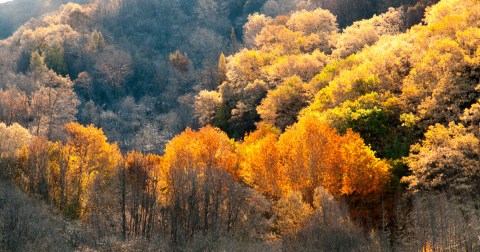 The Under-The-Radar Destination In Northern California With The Most Beautiful Fall Foliage In The State