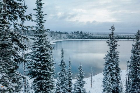 You Might Be Surprised To Hear The Predictions About Wyoming's Positively Frigid Upcoming Winter