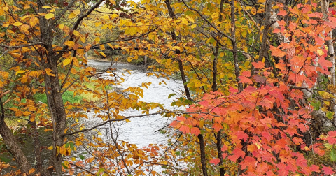 The Lesser-Known State Park Where You Can View The Best Fall Foliage In Minnesota