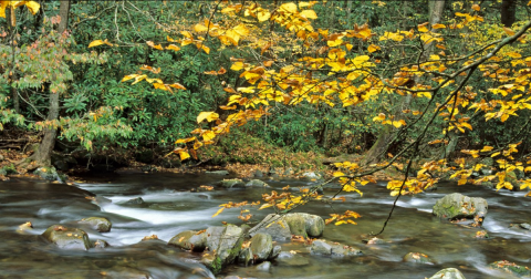 The Enchanting Small Town In Georgia Is One Of The Best Places To Enjoy Autumn