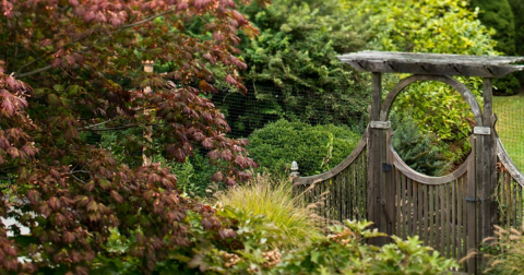 Explore A Little-Known Arboretum On This Connecticut College Campus