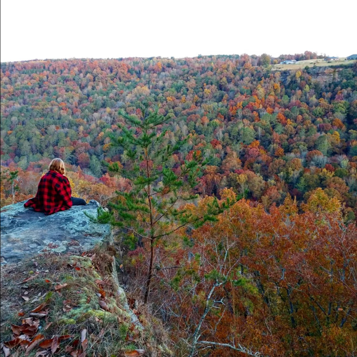 JIm Lynn Overlook at Bucks Pocket State Park, a beautiful vantage for fall foliage in Oak Grove, Alabama