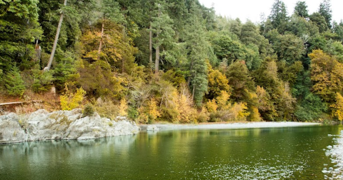 The Serene State Park Where You Can View The Best Fall Foliage In Oregon