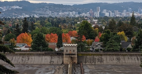 The Under-The-Radar Destination In Oregon With The Most Beautiful Fall Foliage In The State