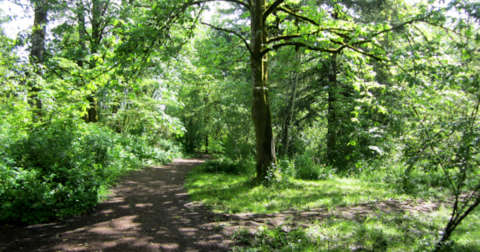 Explore A Little-Known Arboretum In This Small Oregon Country Town