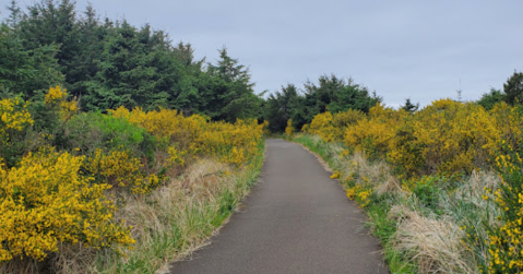 This Little-Known Trail Is Quite Possibly The Best Biking and Walking Path In Washington