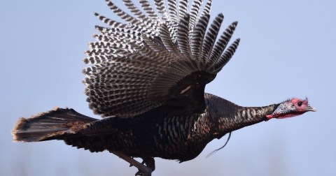 The Newest Wildlife Refuge In Iowa Is Still A Hidden Gem... But Not For Long