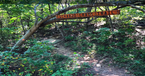 The Entire Family Will Love This Short And Simple Hike In Oklahoma