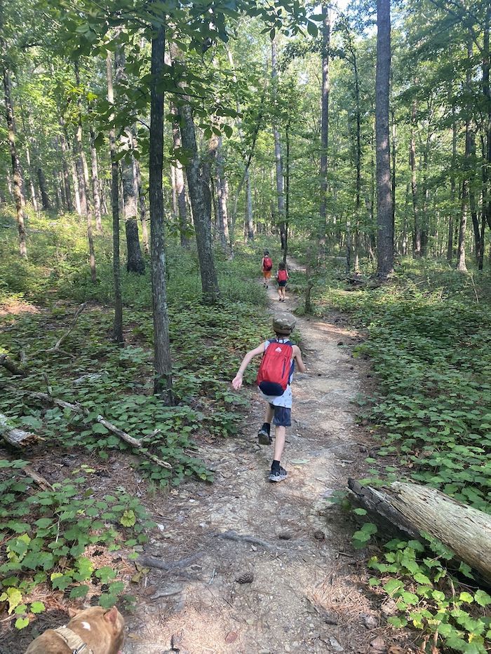 The Pin-Chin-Sky Loop in Talladega National Forest is the best hike near Talladega, Alabama