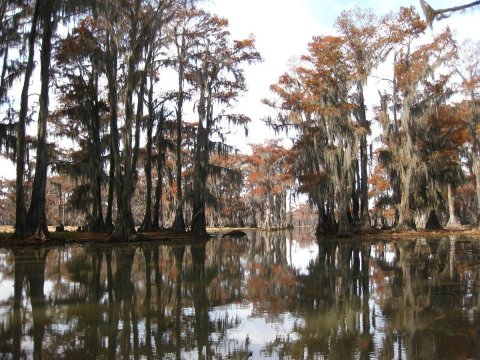 This Little-Known Scenic Spot In Texas That Comes Alive With Color Come Fall