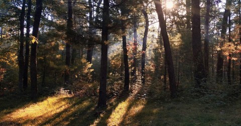 The Enchanting Lakeside Park In WisconsinIs One Of The Best Places To Enjoy Autumn