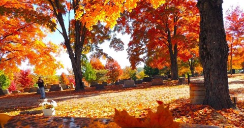 The Under-The-Radar Destination In Arkansas With The Most Beautiful Fall Foliage In The State