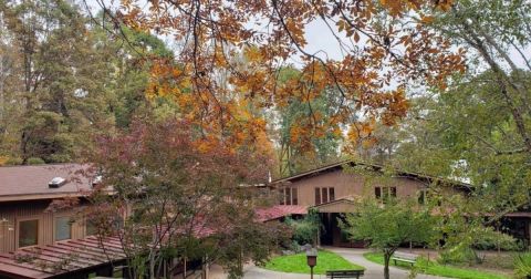 The Unique State Park Where You Can View The Best Fall Foliage In North Carolina