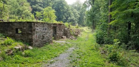 The Incredible Hike In West Virginia That Leads To A Fascinating Abandoned Town