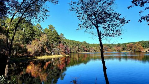 The 2.8-Mile Rustling Leaves Trail Leads Hikers To The Most Spectacular Fall Foliage In Texas