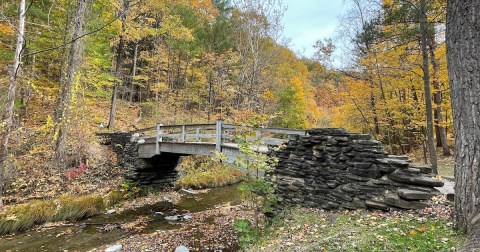 The Beautiful State Park Where You Can View The Best Fall Foliage In New York