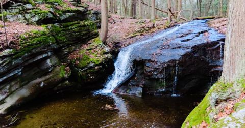 A Peaceful Escape Can Be Found Along The MA NET: Section 9 Trail In Massachusetts