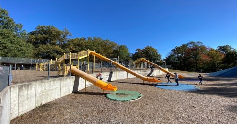 The Largest And Most Inclusive Playground In Maryland Is Incredible