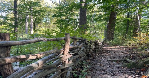 The Under-The-Radar Nature Sanctuary In Maryland That's Perfect For Exploring The Fall Foliage