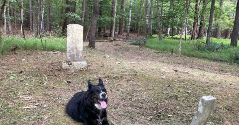 The Incredible Hike In North Carolina That Leads To A Fascinating Abandoned Grave