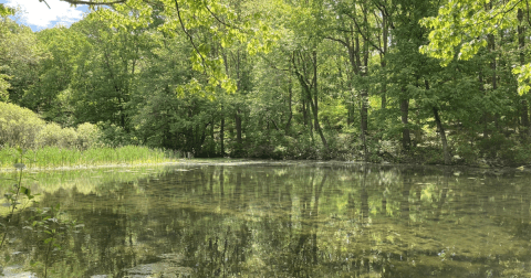 This Little-Known Trail Is Quite Possibly The Best Walking & Hiking Path In Rhode Island