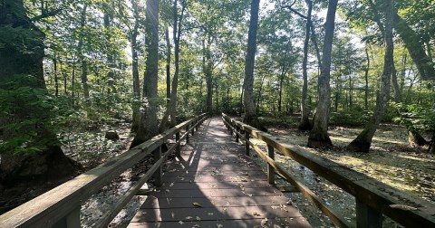 The Incredible Hike In Mississippi That Leads Through An Abandoned River Channel