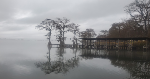 There Is A Unique Man-Made Wonder Hiding In This Small Town In Louisiana